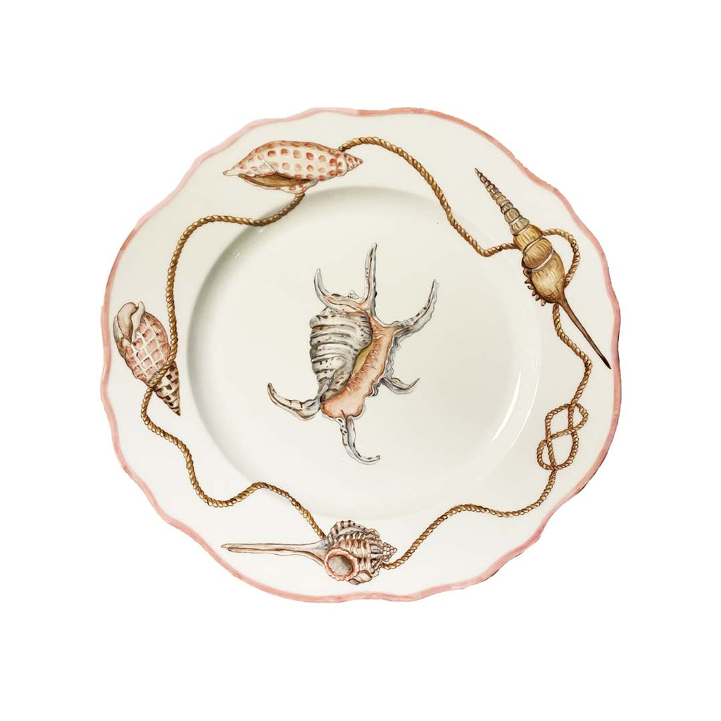 Shell Dinner Plate Set of 6 Vio's Shop