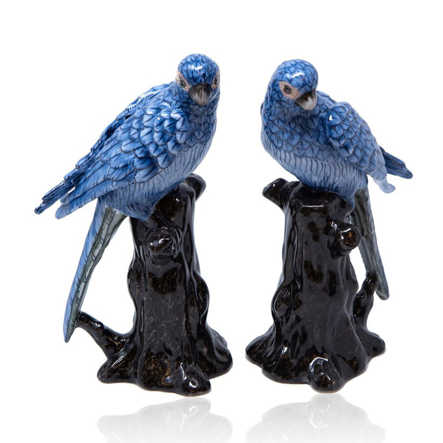 Blue Parrots