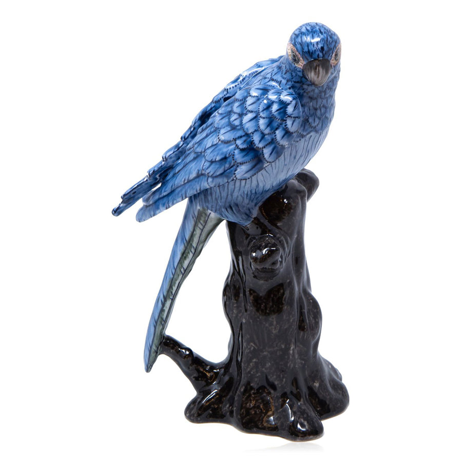 Blue Parrots