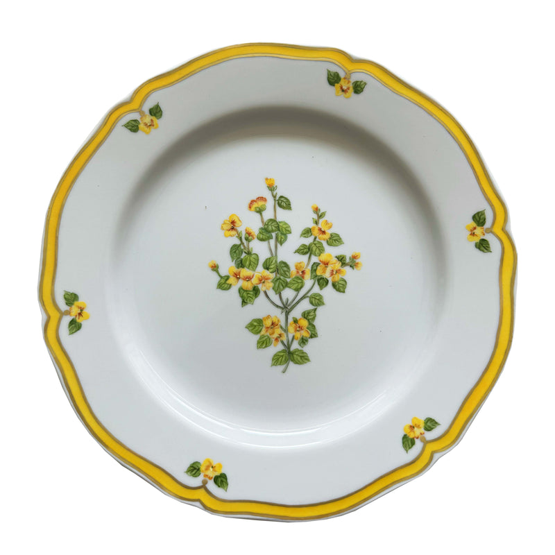 Floral Dinner Plates Set of 8