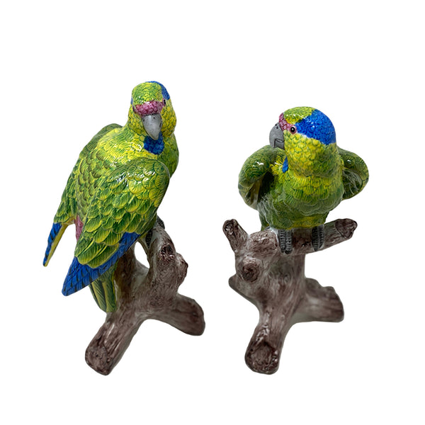 Brazil Parrot SET