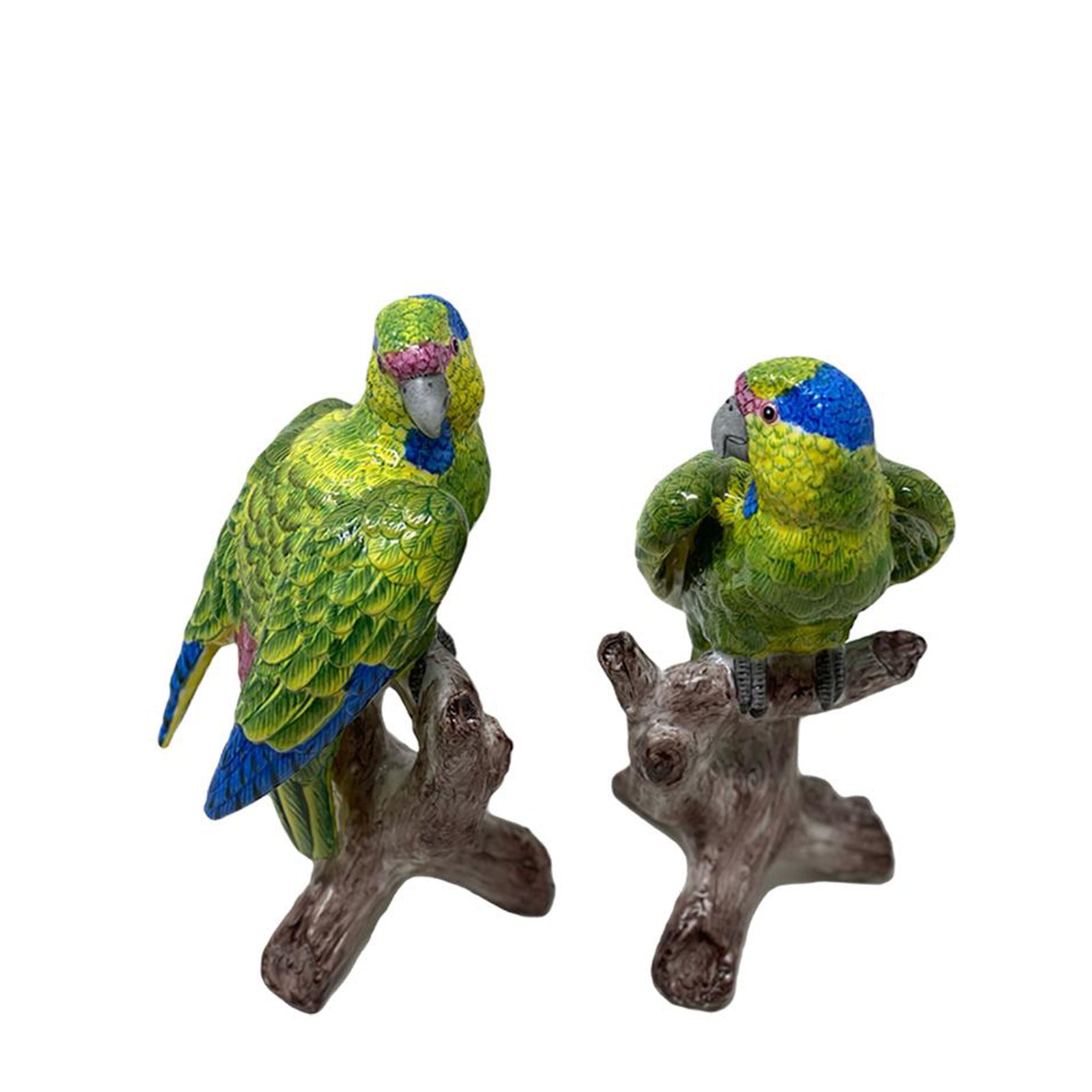 Brazil Parrot SET